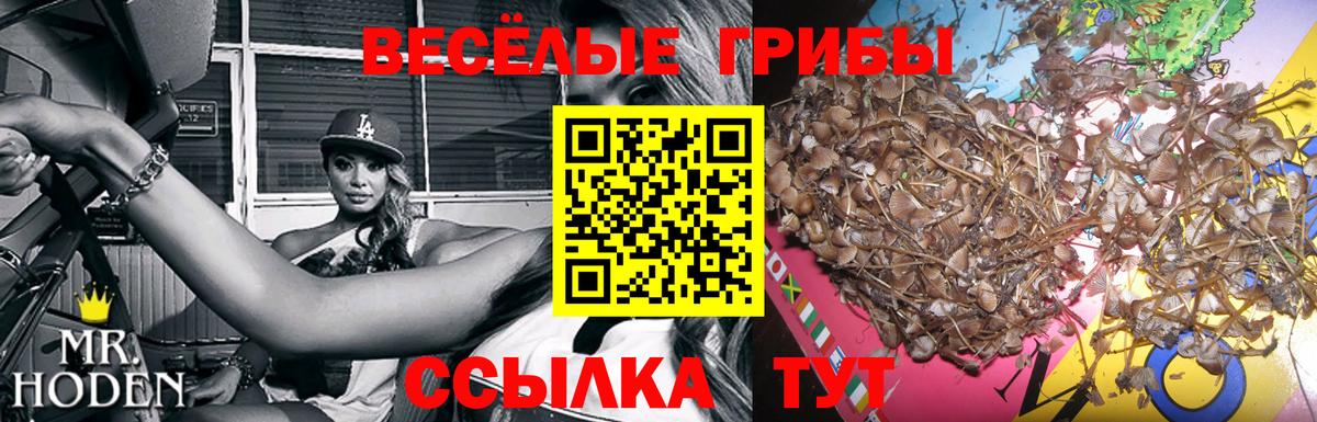Верхняя Салда  Псилоцибиновые грибы GOLDEN TEACHER  дарнет шоп  Вход с VPN 